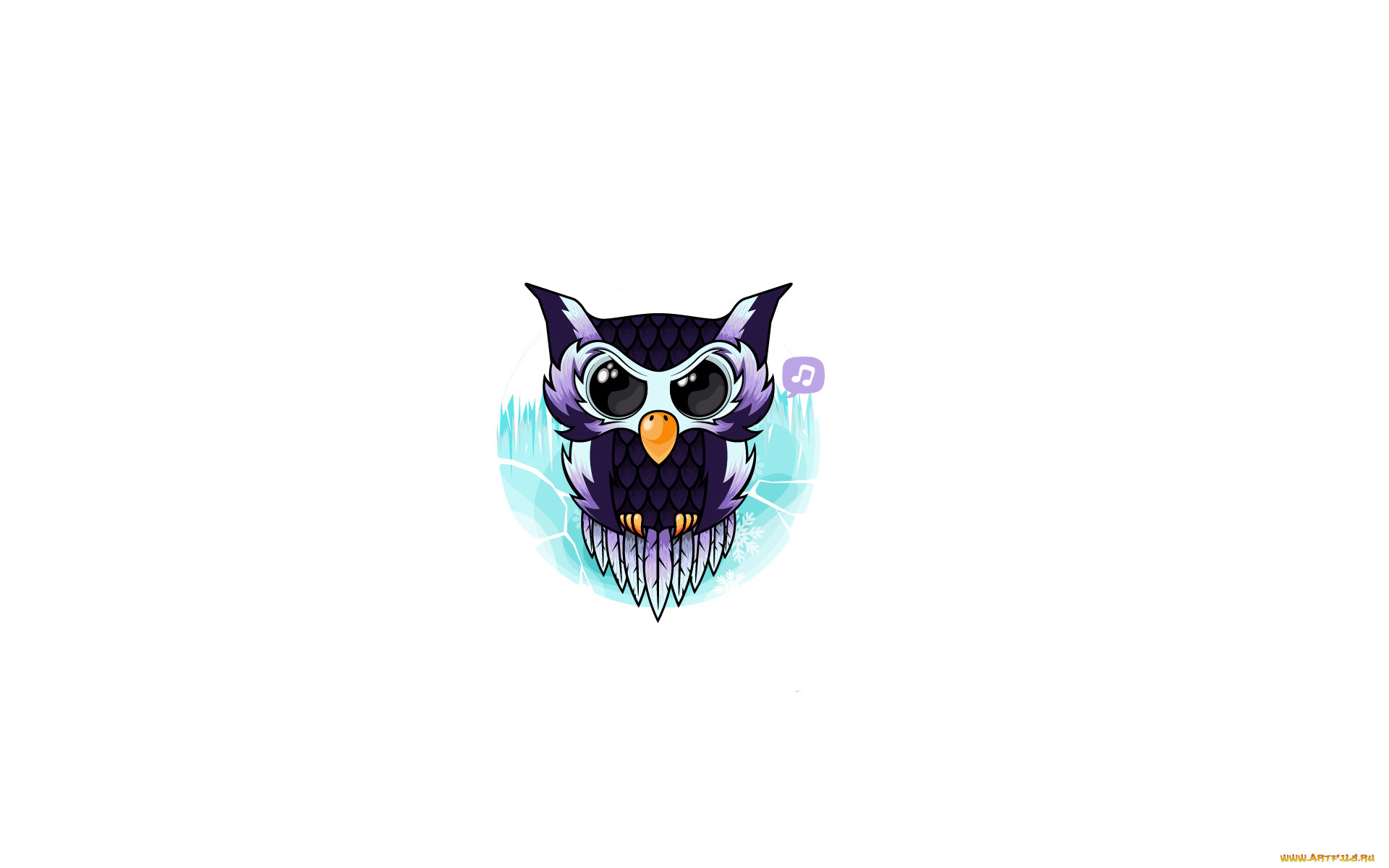 , , , owl